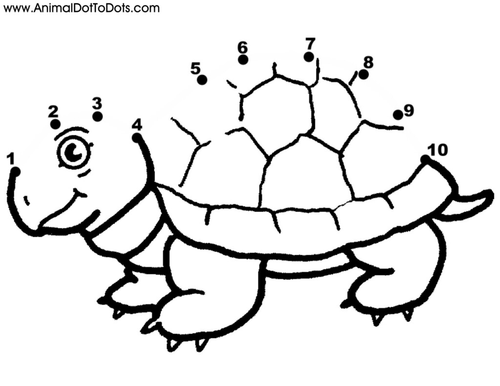 21 Dot To Dot Turtle Images