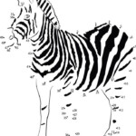 40 Zebra Templates Free PSD Vector EPS PNG Format Download Free