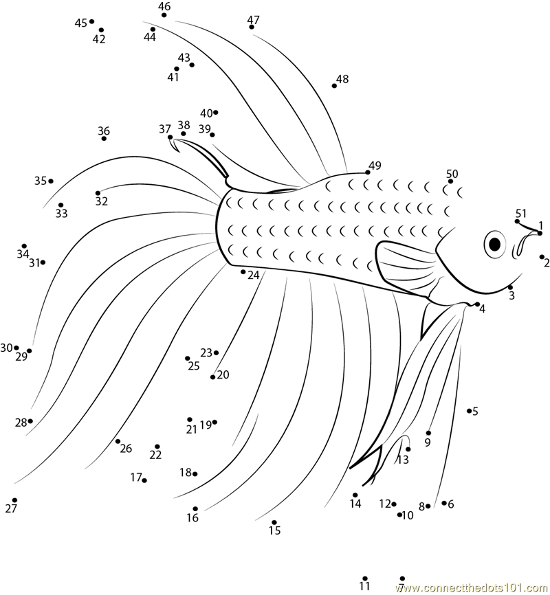 Betta Red Fish Connect The Dots Worksheet