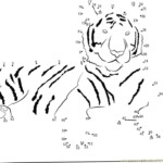 Dot To Dot Tiger Dot To Dot For Kids Science Projects For Kids Dot