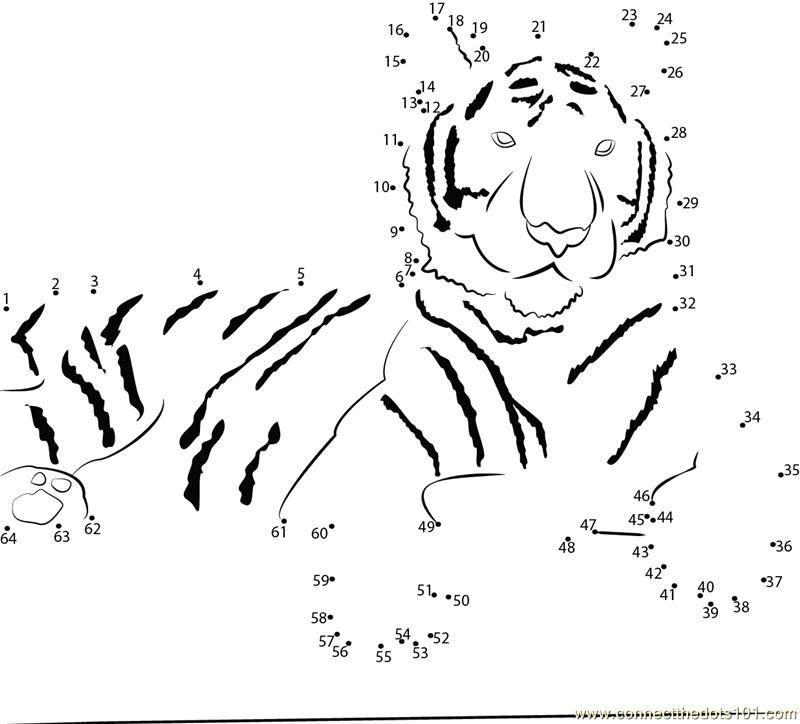 Dot To Dot Tiger Dot To Dot For Kids Science Projects For Kids Dot
