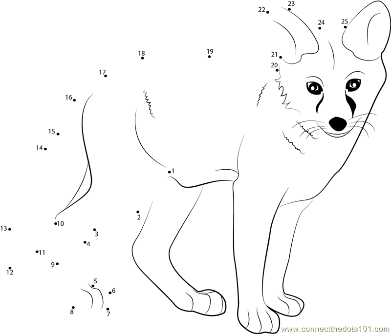 Download Or Print Young Fox Dot To Dot Printable Worksheet From Animals 
