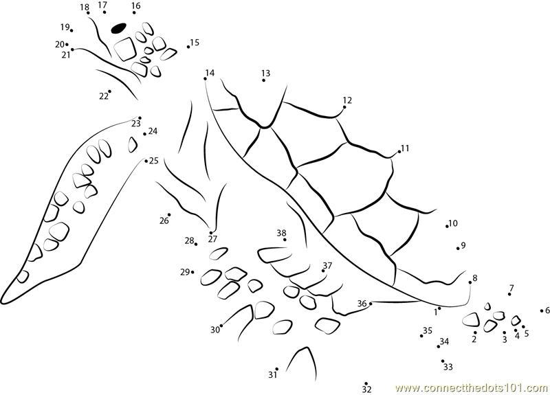 Pirate Fishermen Hook Endangered Dot To Dot Printable Worksheet 