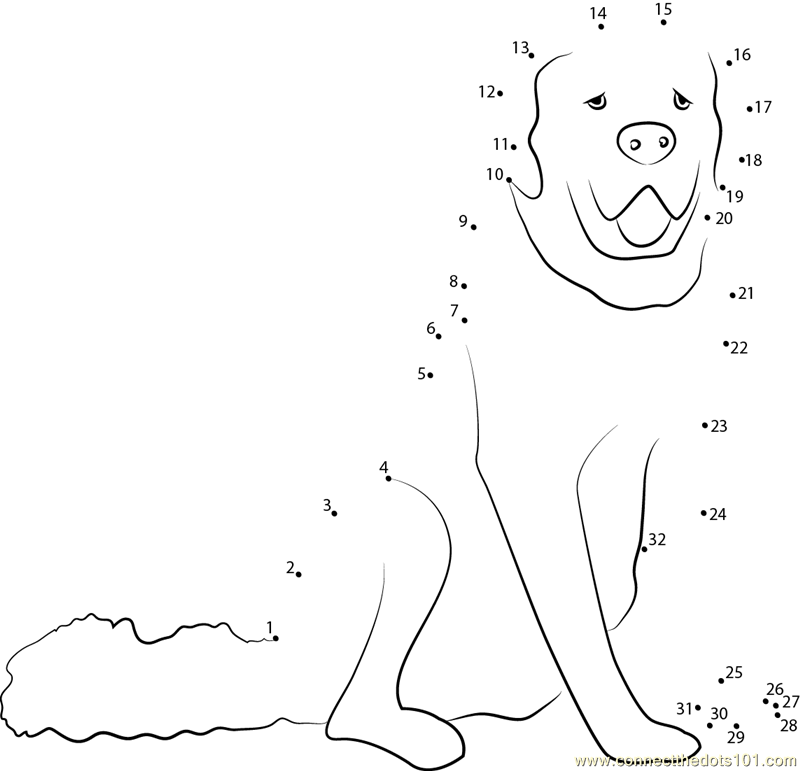 White Dog Connect The Dots Worksheet Dot Worksheets Dots White Dogs